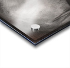 Performance: Managed Acrylic print