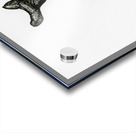 Broken Jaw Acrylic print