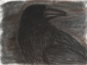 Black Bird 2