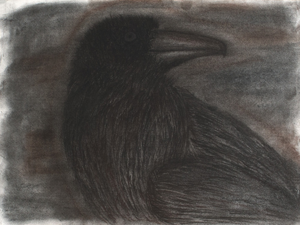 Black Bird 2 Print
