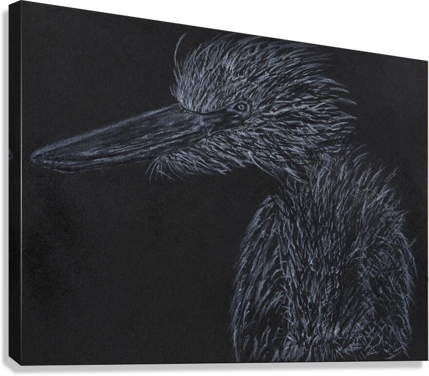 Crane 2 Canvas Print