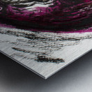 Hawk Impression metal