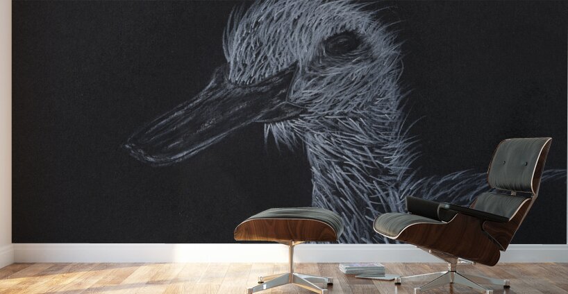 Duck Wall Murals