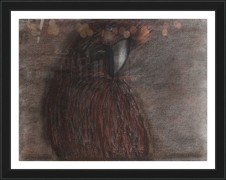 Tropical Bird Picture Frame Printing