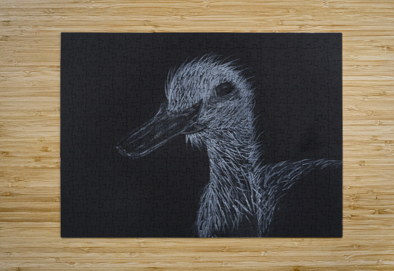Duck Jon David Puzzle printing