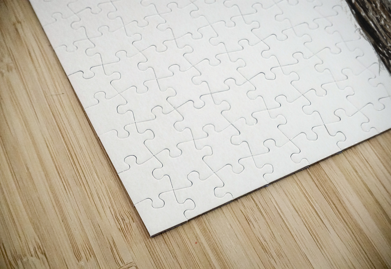 Crane Jon David Puzzle