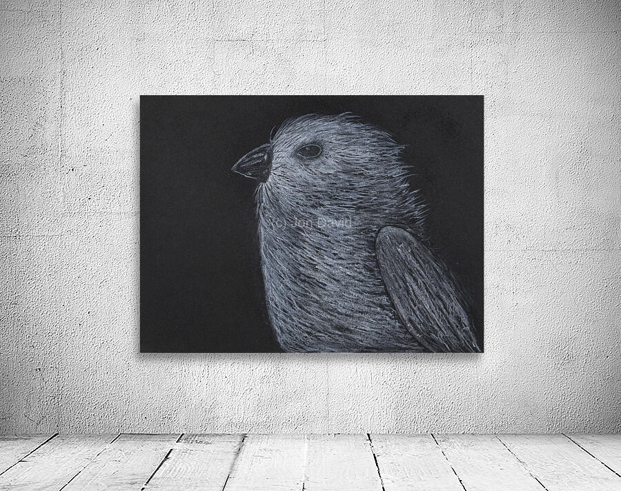 Song Bird Wall Preview