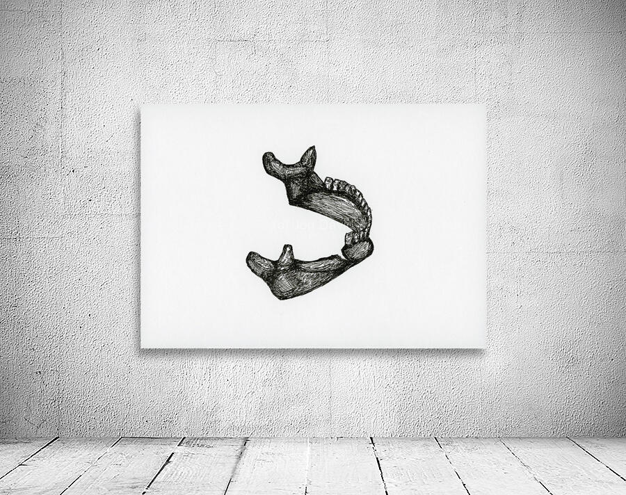 Broken Jaw Wall Preview